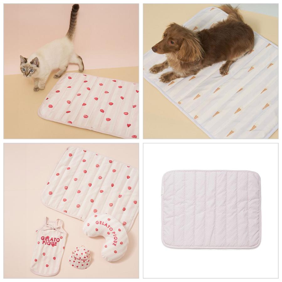 gelato pique（ジェラートピケ） SALE30%OFF CAT&DOG 接触冷感 Cooling