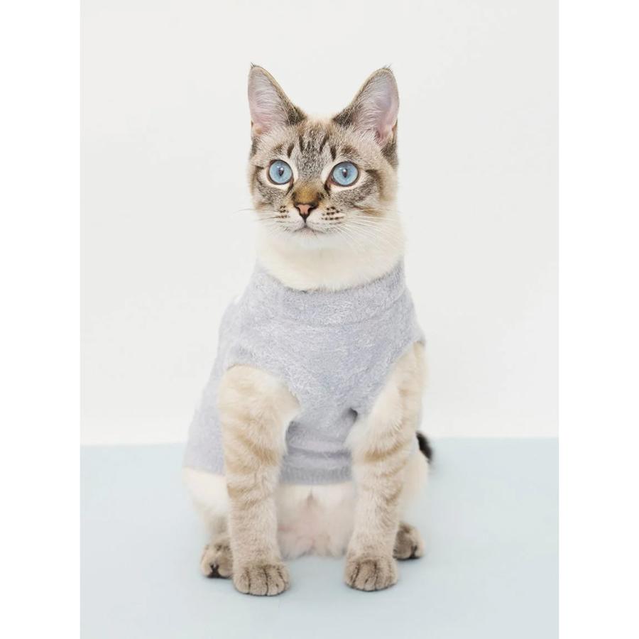 ジェラートピケ CAT&DOG スムーズィー空モチーフプルオーバー pagg264705 ドッグウェア キャットウェア 犬猫用 ジェラピケ gelato pique | gelato pique | 04