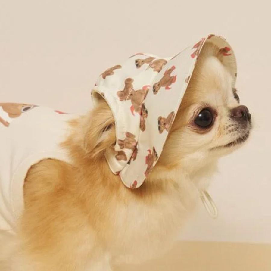 モールアート モールベア   帽子 犬 gelato pique（ジェラートピケ） CAT&DOG サマーベア柄ハット