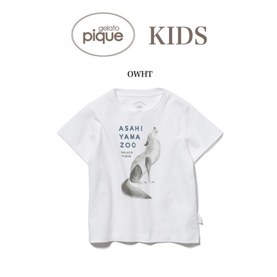 Sale30 Off Gelato Pique Kids ジェラートピケキッズ 通販 旭山動物園 オオカミ Kids Tシャツ Pkct ジェラピケ 子供服 誕生日 セレクトショップムー 通販 Paypayモール