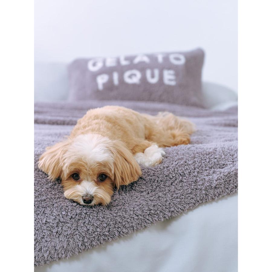 gelato pique Sleep ジェラート マルチカバー psgg239001