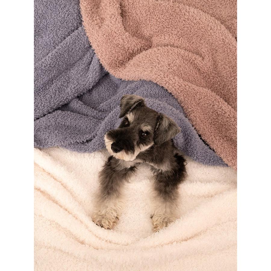 gelato pique Sleep ジェラート マルチカバー psgg239001 ジェラピケ