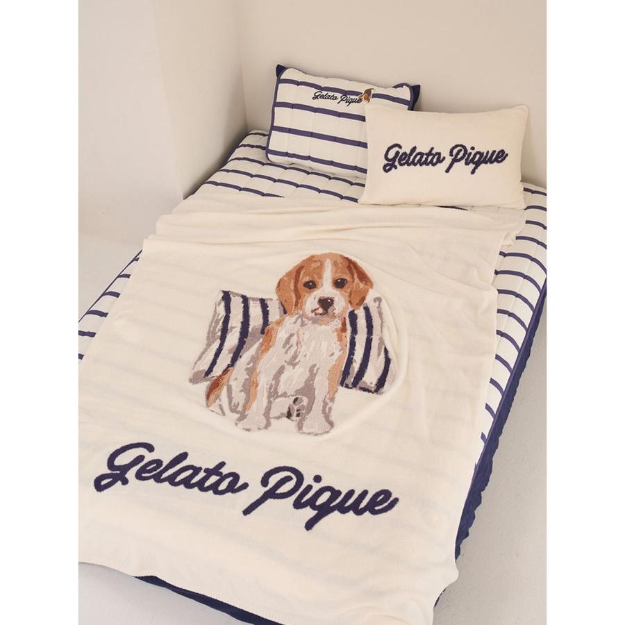 GELATO PIQUE 犬柄 毛布　ピロケース　2点 gelato pique（ジェラートピケ） UNISEX エアリーモコプレイフルDOG