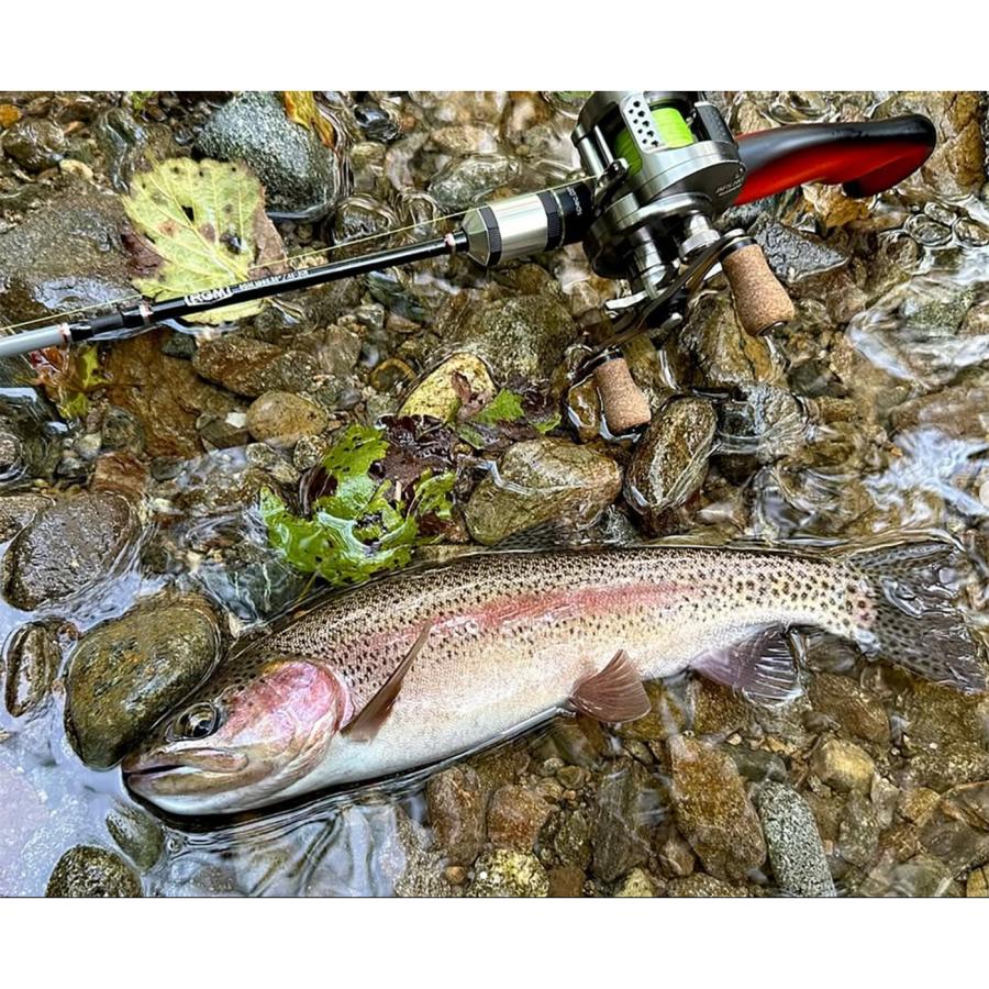 JACKALL（ジャッカル） RGM(ルースター ギア マーケット) RGM SPEC.5+