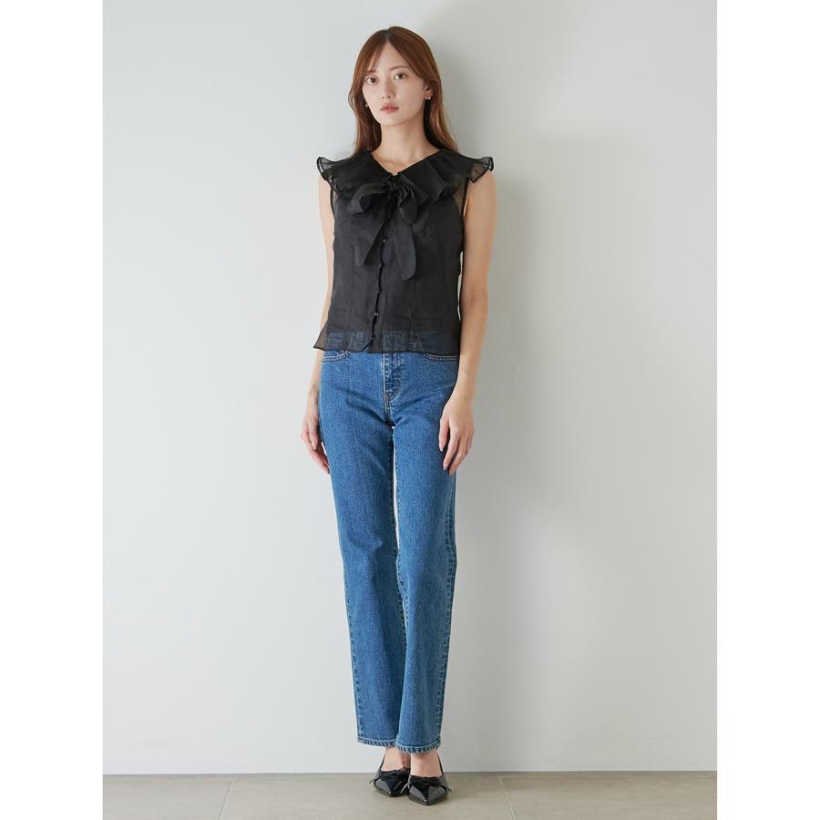 SNIDEL（スナイデル） SALE30%OFF ビッグカラーシアーブラウス