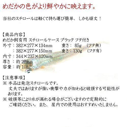 クハラ めだか飼育用ケース 黒発泡スチロール めだか容器 発砲スチロールケース 小 フタ付き 1個 S セレクトショップssマート 通販 Yahoo ショッピング