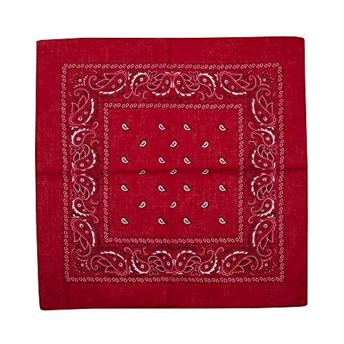 VAKT. PAISLEYスカーフ　新品未使用 新品 VAKT.／PAISLEYスカーフ VAKT. PAISLEYスカーフ 新品未使用 楽天