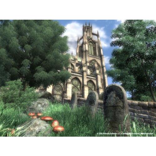 The Elder Scrolls IV: Oblivion 輸入版｜selectshopwakagiya｜04