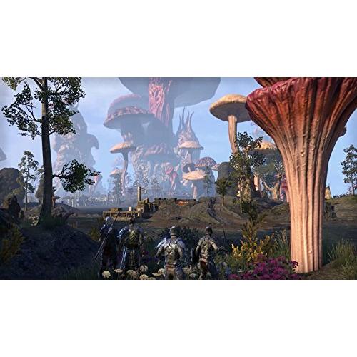 The Elder Scrolls Online: Morrowind PS4 輸入版 並行輸入 並行輸入｜selectshopwakagiya｜03