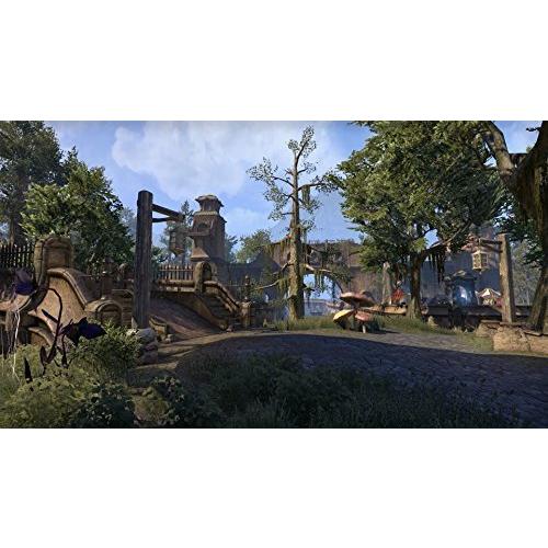 The Elder Scrolls Online: Morrowind PS4 輸入版 並行輸入 並行輸入｜selectshopwakagiya｜04