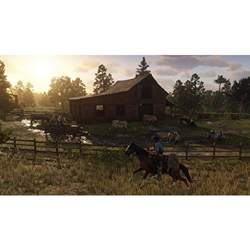 Red Dead Redemption 2 輸入版 PS4 並行輸入 並行輸入｜selectshopwakagiya｜04