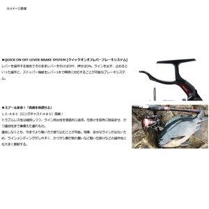 ダイワ(DAIWA) スピニングリール(レバーブレーキ) 19 シグナス
