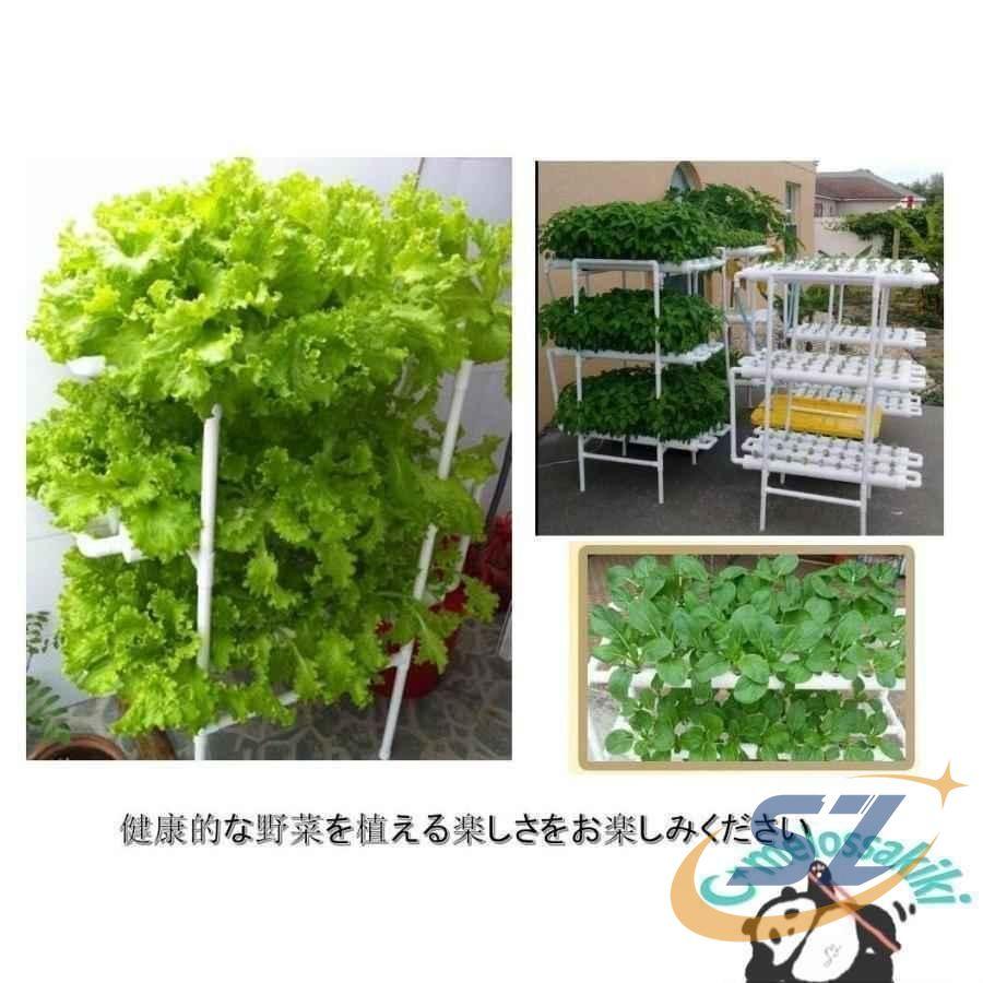 水耕栽培キット 水耕栽培 水耕栽培セット 108穴 植物 野菜用具 植物