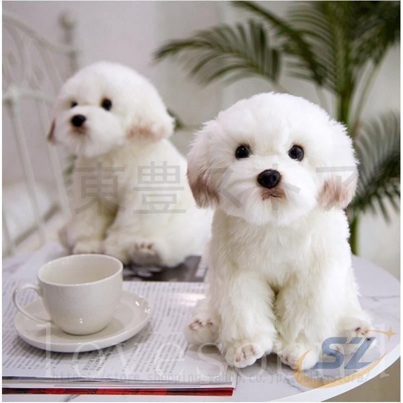 マルチーズ リアルイヌいぬ犬ぬいぐるみ ペットおもちゃ ペット用品