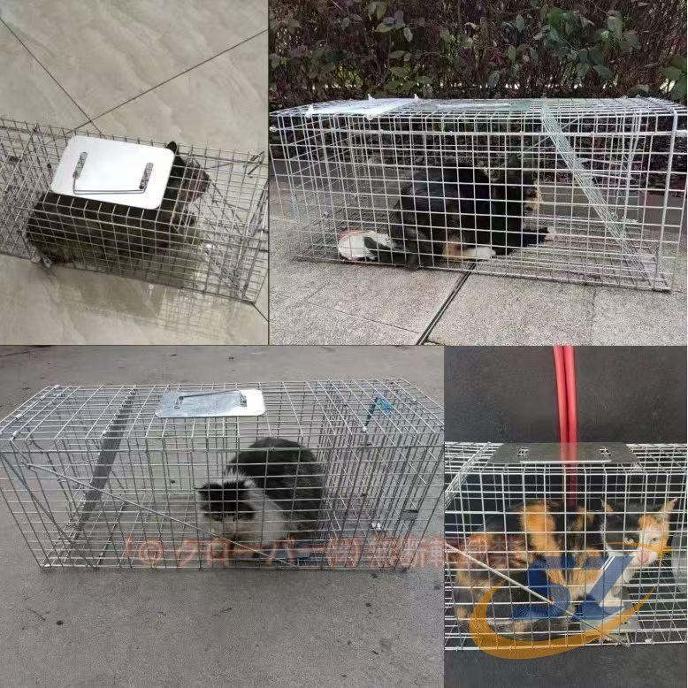 捕獲器 箱罠 イタチ 捕獲 踏み板式 猫 ネコ 畑 餌 アニマルトラップ