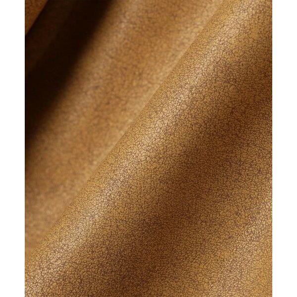 SHIPS / シップス WYTHE NEW YORK: Mustang Fringe Leather Jacketの画像