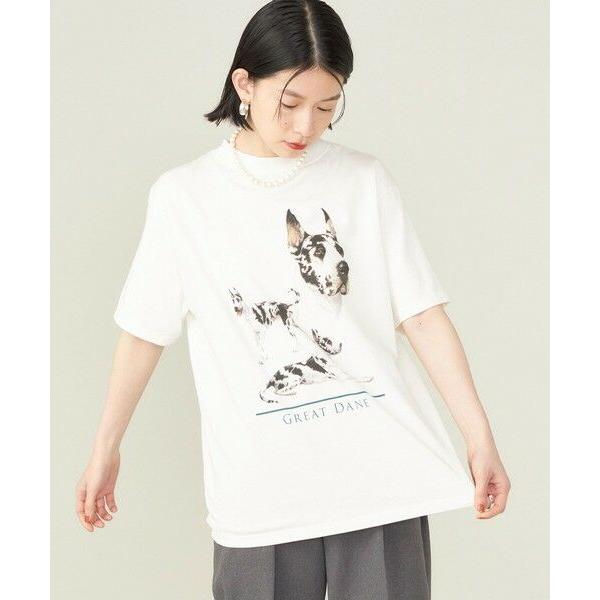 SHIPS for women / シップスウィメン SHIPS NINE CASE:〈洗濯機可能〉GREAT DANE TEE ◇｜selectsquare｜09