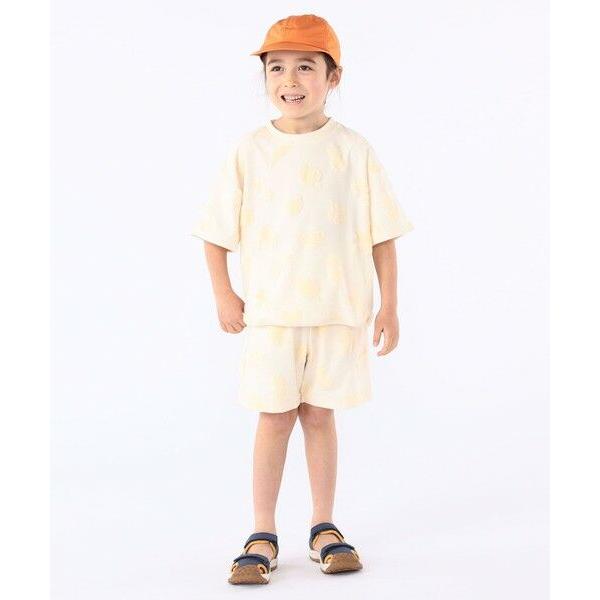 SHIPS / シップス 【WEB限定】Teva:TOACHI HYDRATREKの画像