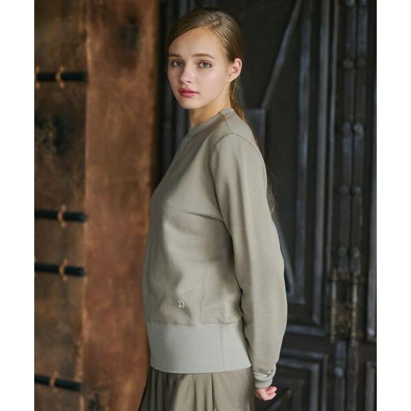 DRESSTERIOR / ドレステリア ソフトバックフリースプルオーバー