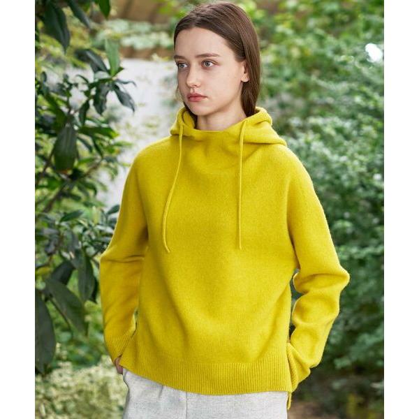 新品タグ付き　DRESSTERIOR ドレステリア　カシミヤブレンドフードニット カシミヤブレンドフードニット（ニット/セーター） | DRESSTERIOR(Men