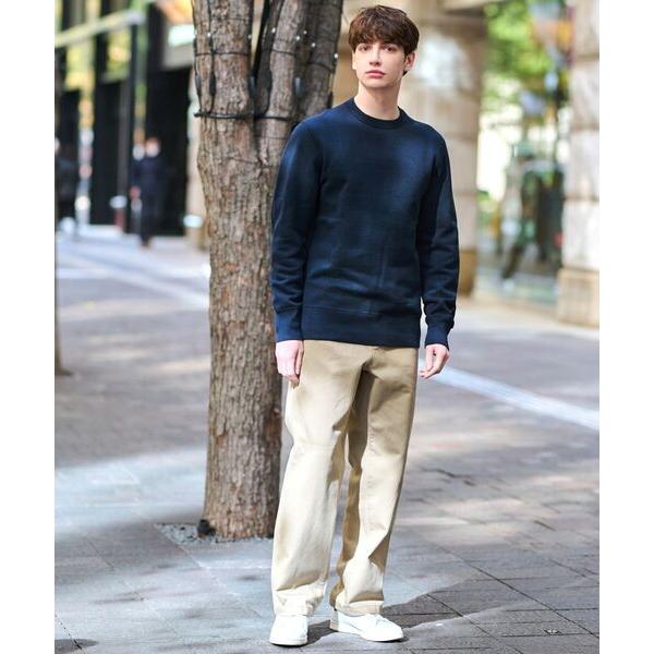 DRESSTERIOR（ドレステリア） 【ベストセラー】デキシー吊裏毛プル