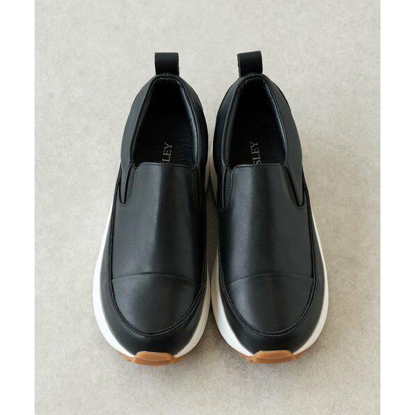 BEARDSLEY（ビアズリー） レザースリッポン《本革》 : タカシマヤ