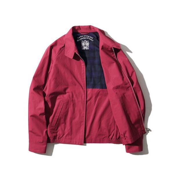 VAN VAN / ヴァン バックプリーツスウィングトップ : タカシマヤ
