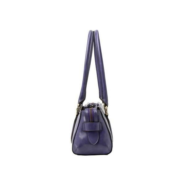 ANNA SUI / アナスイ ディディオン イーストウエストバッグ | ANNA SUI | 13