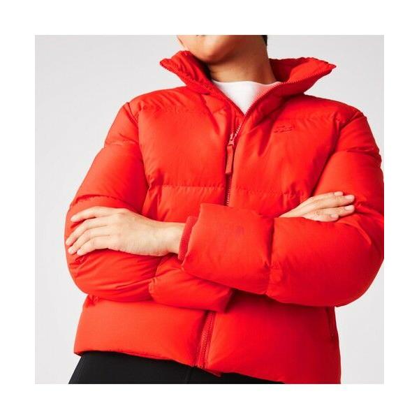 LACOSTE（ラコステ） クロックステッチダウンジャケット : タカシマヤ