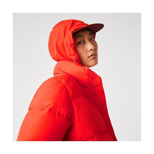 LACOSTE（ラコステ） クロックステッチダウンジャケット : タカシマヤ