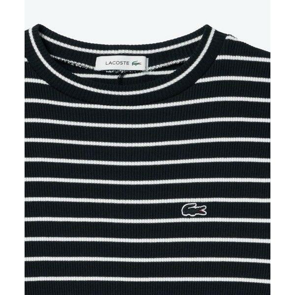 LACOSTE（ラコステ） コットンリブニットドレス / ニットワンピース