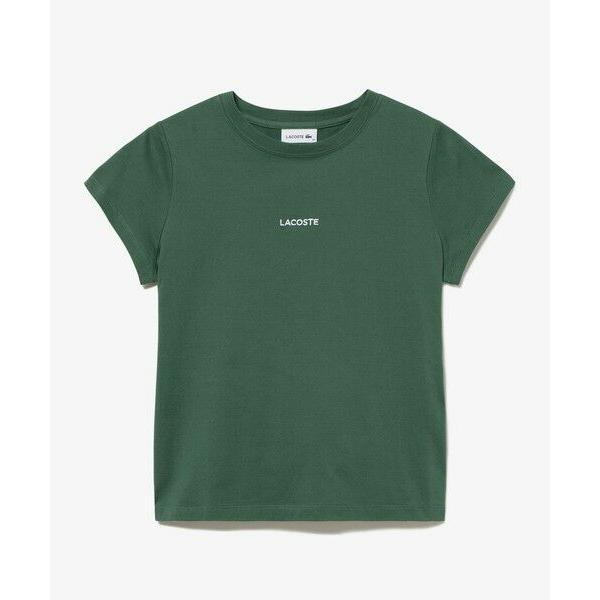 LACOSTE / ラコステ コンパクトブランドネームロゴTシャツ｜selectsquare｜12