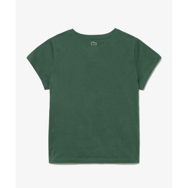 LACOSTE / ラコステ コンパクトブランドネームロゴTシャツ｜selectsquare｜16