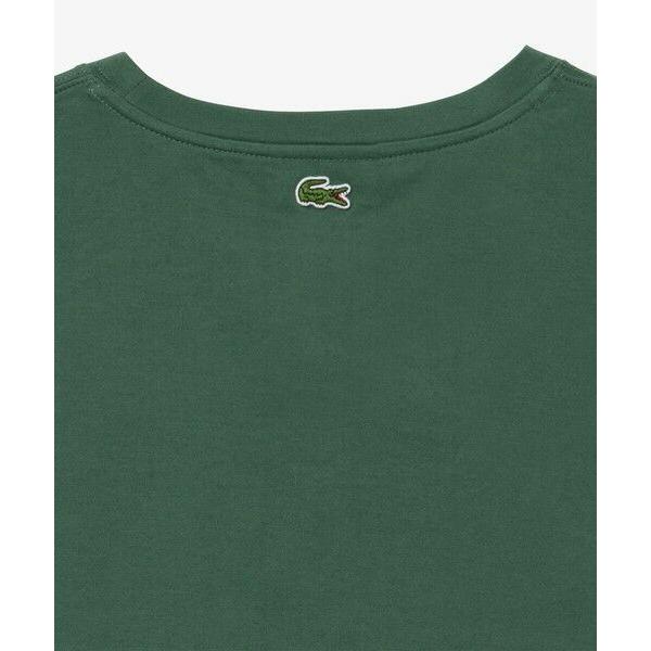LACOSTE / ラコステ コンパクトブランドネームロゴTシャツ｜selectsquare｜18
