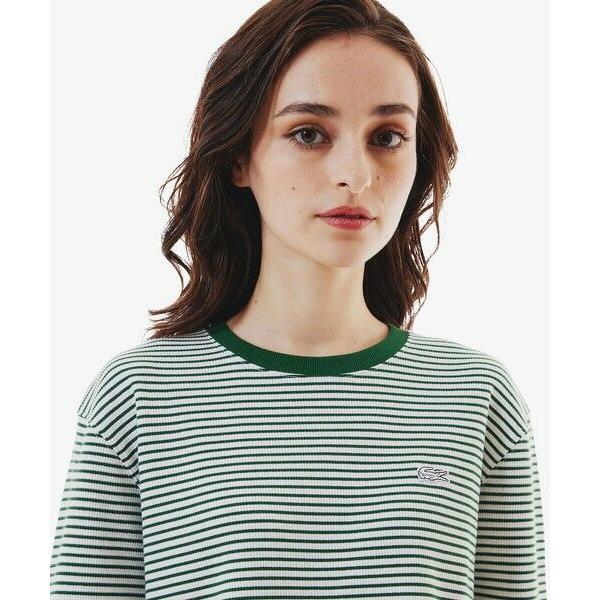 LACOSTE / ラコステ ワッフルボーダーTシャツ LACOSTE / ラコステ ワッフルボーダーTシャツ : タカシマヤ