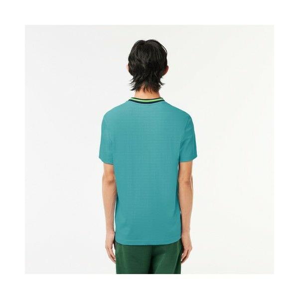 LACOSTE ボーダーリブニットクルーネック鹿の子地Tシャツ 2点 ラコステ LACOSTE ボーダーリブニットクルーネック鹿の子地T