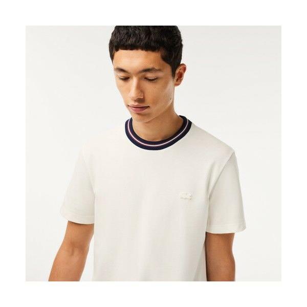 LACOSTE / ラコステ ボーダーリブネック鹿の子地Tシャツ