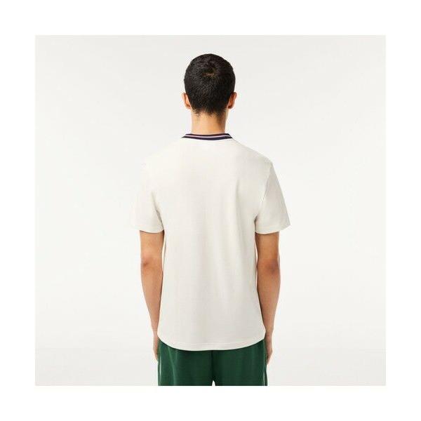 LACOSTE / ラコステ ボーダーリブネック鹿の子地Tシャツ