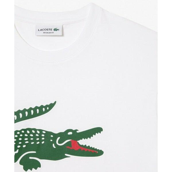 LACOSTE / ラコステ ワニロゴグラフィックプリントTシャツ LACOSTE / ラコステ ワニロゴグラフィックプリントTシャツ