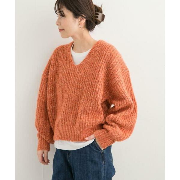 ◎アーバンリバー AR fromVP◎ Veitchii Auburn River from Ar factory #ビカクシダ #ビカクシダの