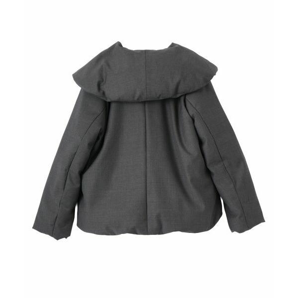 Leilian（レリアン） ビッグカラーダウンコート : タカシマヤ