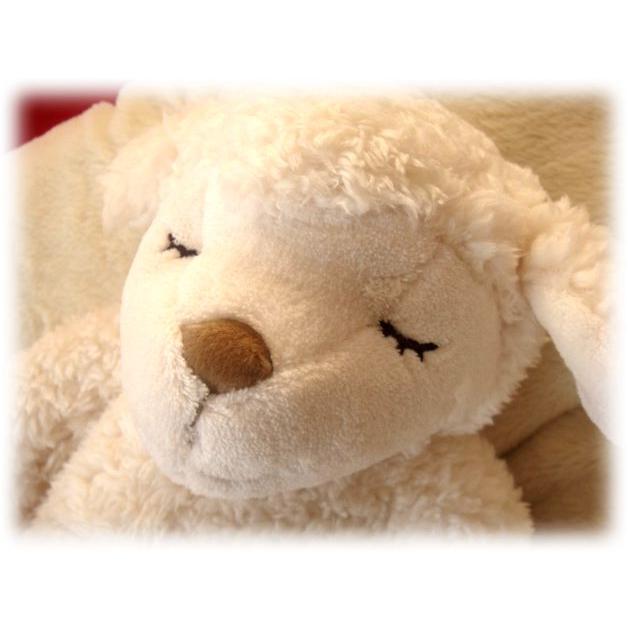 ★ふわふわあったかひつじのメイプル抱き枕アイボリーM/ヒツジのぬいぐるみ　プレゼントギフト出産祝いにオススメ♪雑貨通販【RCP】 |  | 01