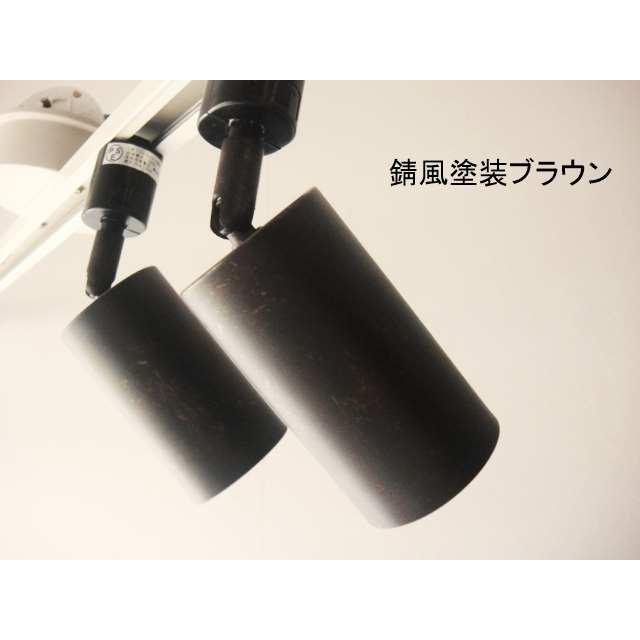 新色入荷★ライティングレール用スポットライトM サビ加工 ナチュラル ダクトレールランプ E26 首可動ブラックホワイト LED対応 |  | 10