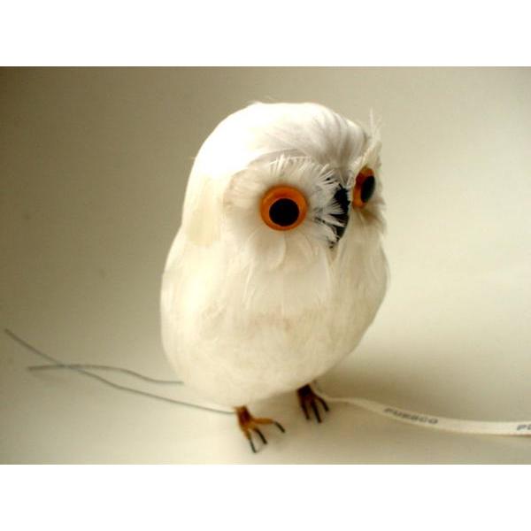 ★PUEBCO（プエブコ）フクロウ Owl ホワイト　白　リアルバード鳥　剥製のようにリアル♪ふくろう雑貨通販【RCP】 | 