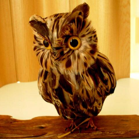★PUEBCO Owlふくろう ブラウン（L）　プエブコ　フクロウ（ミミズク）のオブジェ　置物まるで剥製のようにリアル♪雑貨通販【RCP】 | 