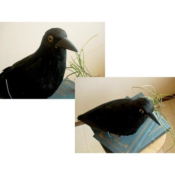 ☆PUEBCO（プエブコ） Crow(L） L320 リアルなカラスオブジェ 置物 鳥
