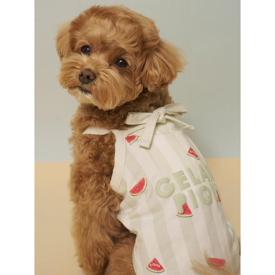 gelato pique（ジェラートピケ） CAT&DOG 接触冷感 ストライプ柄