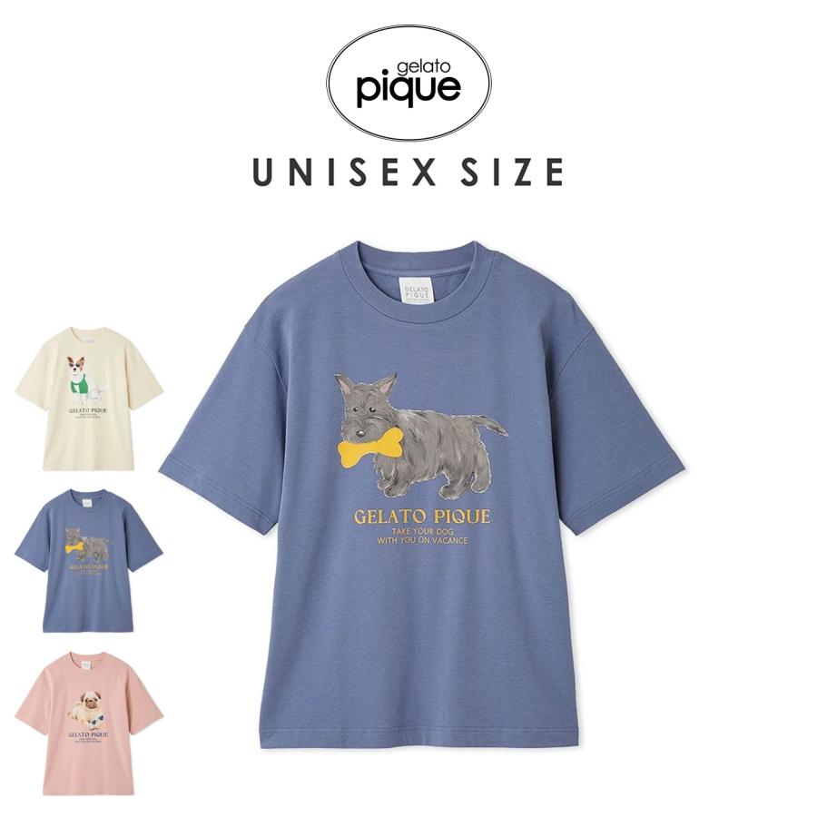 ジェラートピケ ロブション メンズルームウェアセットアップ2とTシャツ ジェラートピケ ロブション メンズルームウェアセットアップ2とT