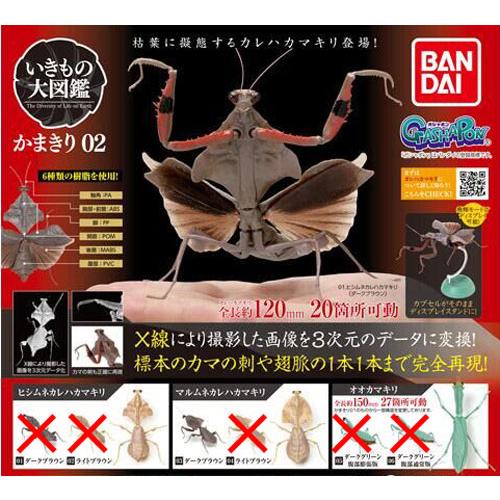 T 大樋焼　香合　蟷螂　カマキリ　盛り上げ図　黄布　合わせ箱 大樋焼 立貝香合 十代 大樋長左衛門(作) 共箱 | 古美術ささき