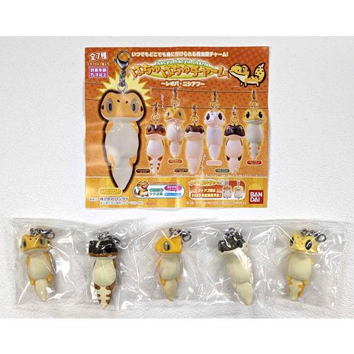 はちゅはちゅチャーム レオパ・ニシアフ 5種セット : セレンショップ